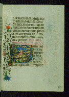 W.202, fol. 142r