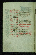 W.204, fol. 8v