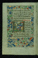 W.204, fol. 17v