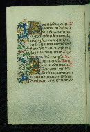 W.204, fol. 37v