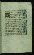 W.204, fol. 46r