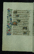 W.204, fol. 125v