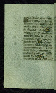 W.204, fol. 221v