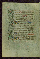 W.211, fol. 31v