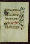 W.211, fol. 41r