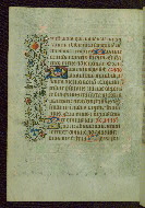 W.211, fol. 46v