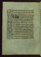 W.211, fol. 80v