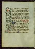 W.211, fol. 84v