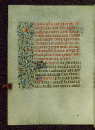 W.211, fol. 94v