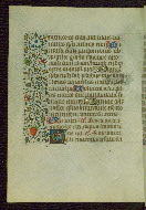 W.211, fol. 115v