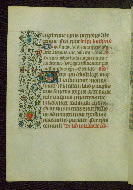 W.211, fol. 132v