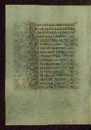W.211, fol. 195v