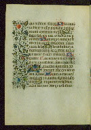 W.211, fol. 204v