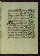 W.211, fol. 206r