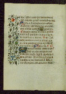 W.211, fol. 224v