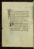 W.215, fol. 55v