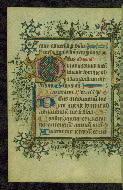 W.215, fol. 113v