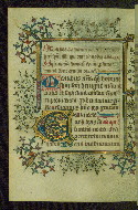 W.215, fol. 117v