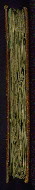 W.22, Fore-edge