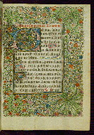 W.239, fol. 14r