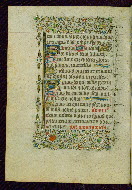 W.239, fol. 20v