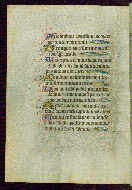 W.239, fol. 115v