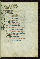 W.262, fol. 11r