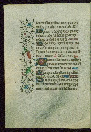 W.262, fol. 19v