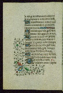 W.262, fol. 29v