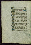 W.262, fol. 31v