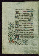 W.262, fol. 42v