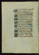W.262, fol. 49v