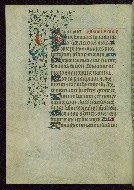 W.262, fol. 51v