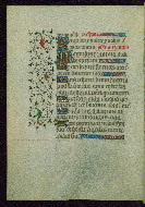 W.262, fol. 55v