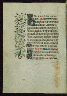 W.262, fol. 56v