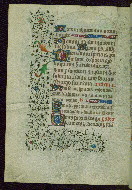 W.262, fol. 79v