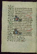 W.262, fol. 80v