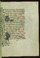 W.262, fol. 81r