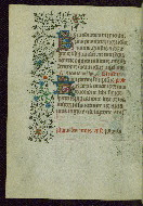 W.262, fol. 81v