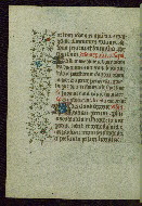 W.262, fol. 82v