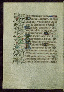 W.262, fol. 95v