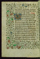 W.262, fol. 132v