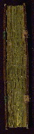 W.262, Fore-edge