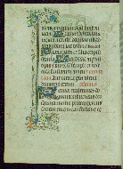 W.263, fol. 17v