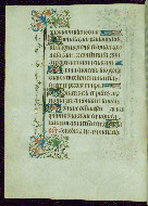 W.263, fol. 20v