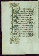 W.263, fol. 59v