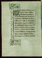 W.263, fol. 75v