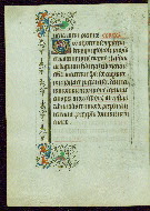 W.263, fol. 81v