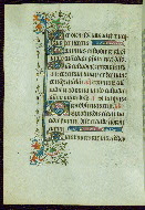 W.263, fol. 119v