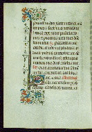 W.263, fol. 146v